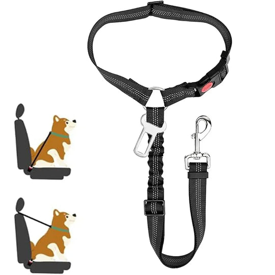La ceinture Woofy™